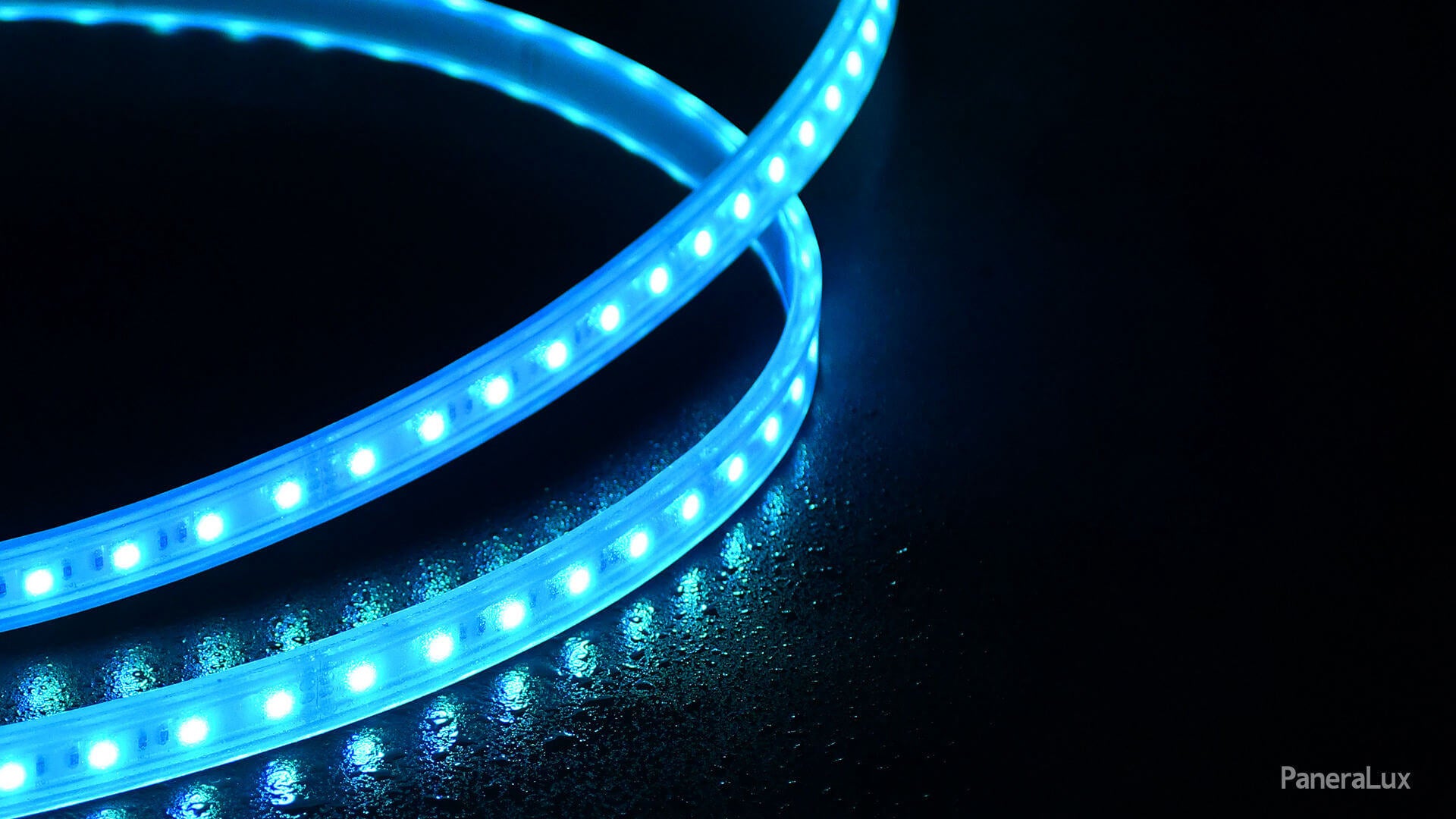 Pool Edge Lighting
